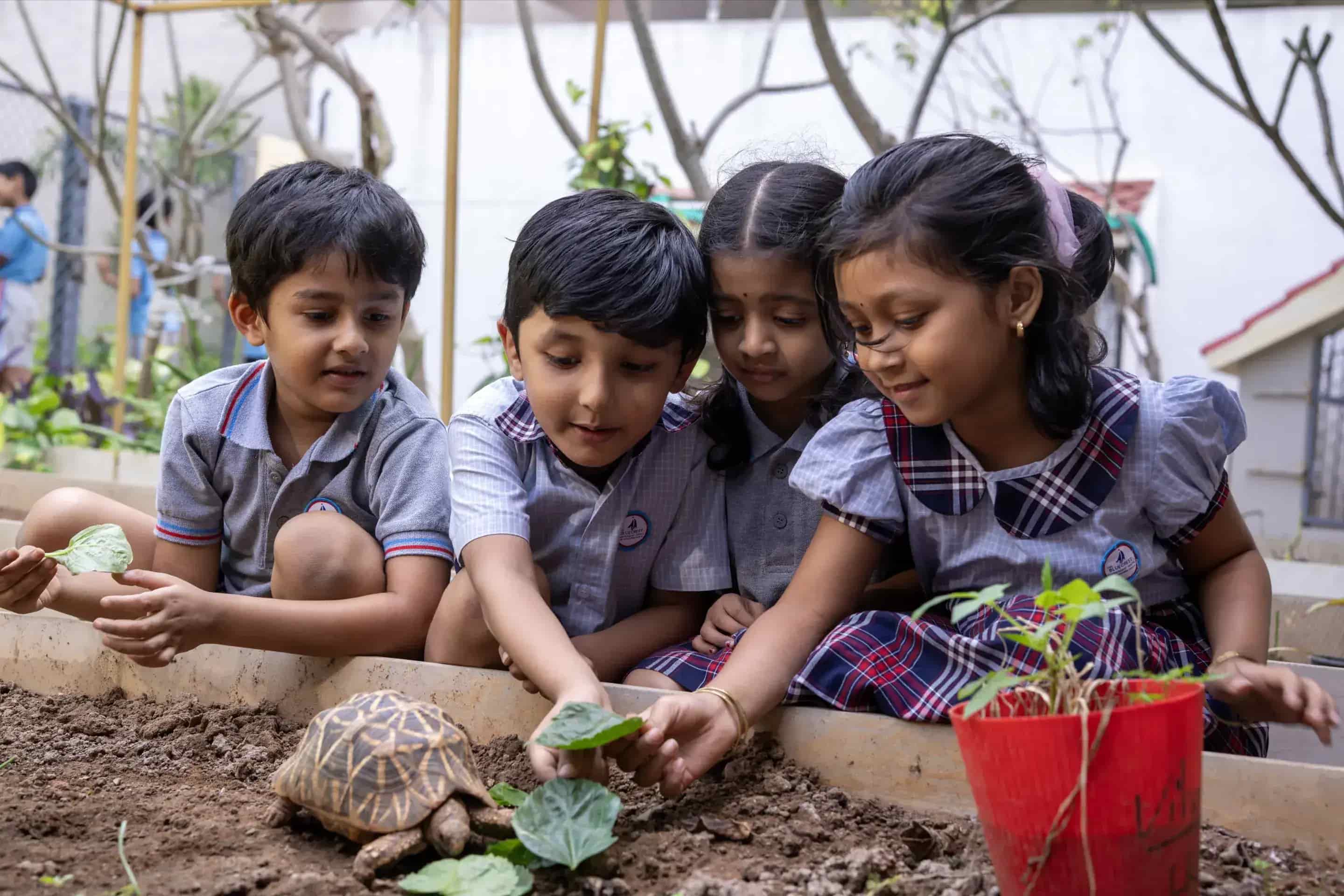 Discovery in the Garden