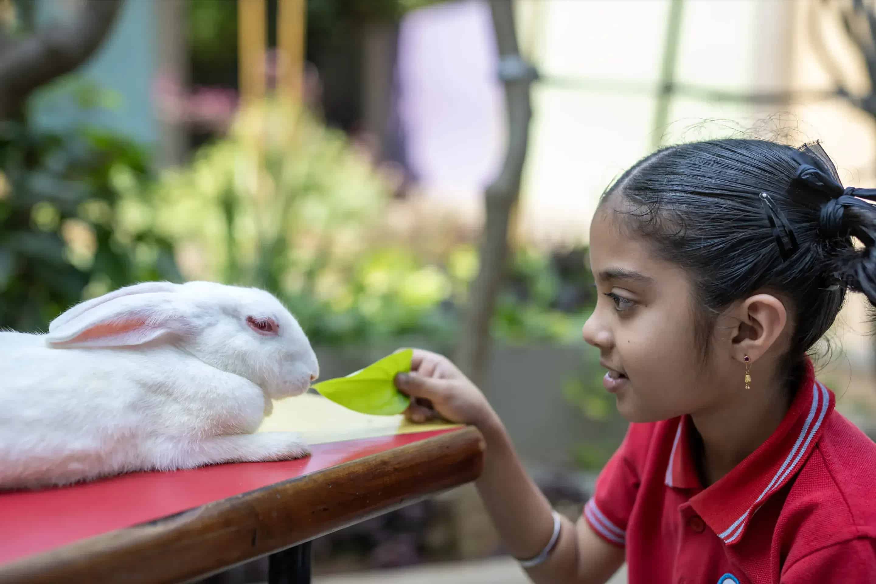 Playgroup & Tiny Tots