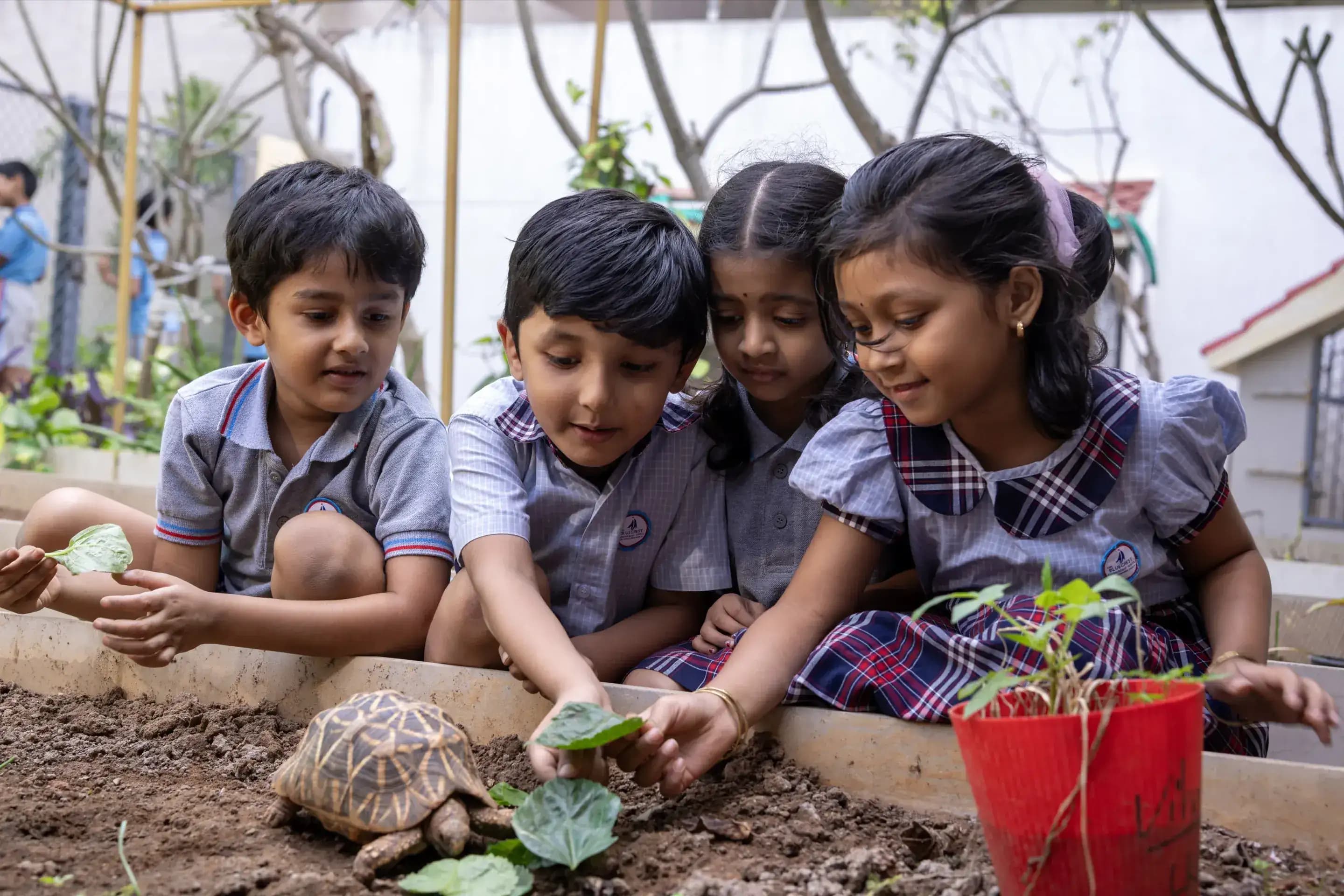 Discovery in the Garden