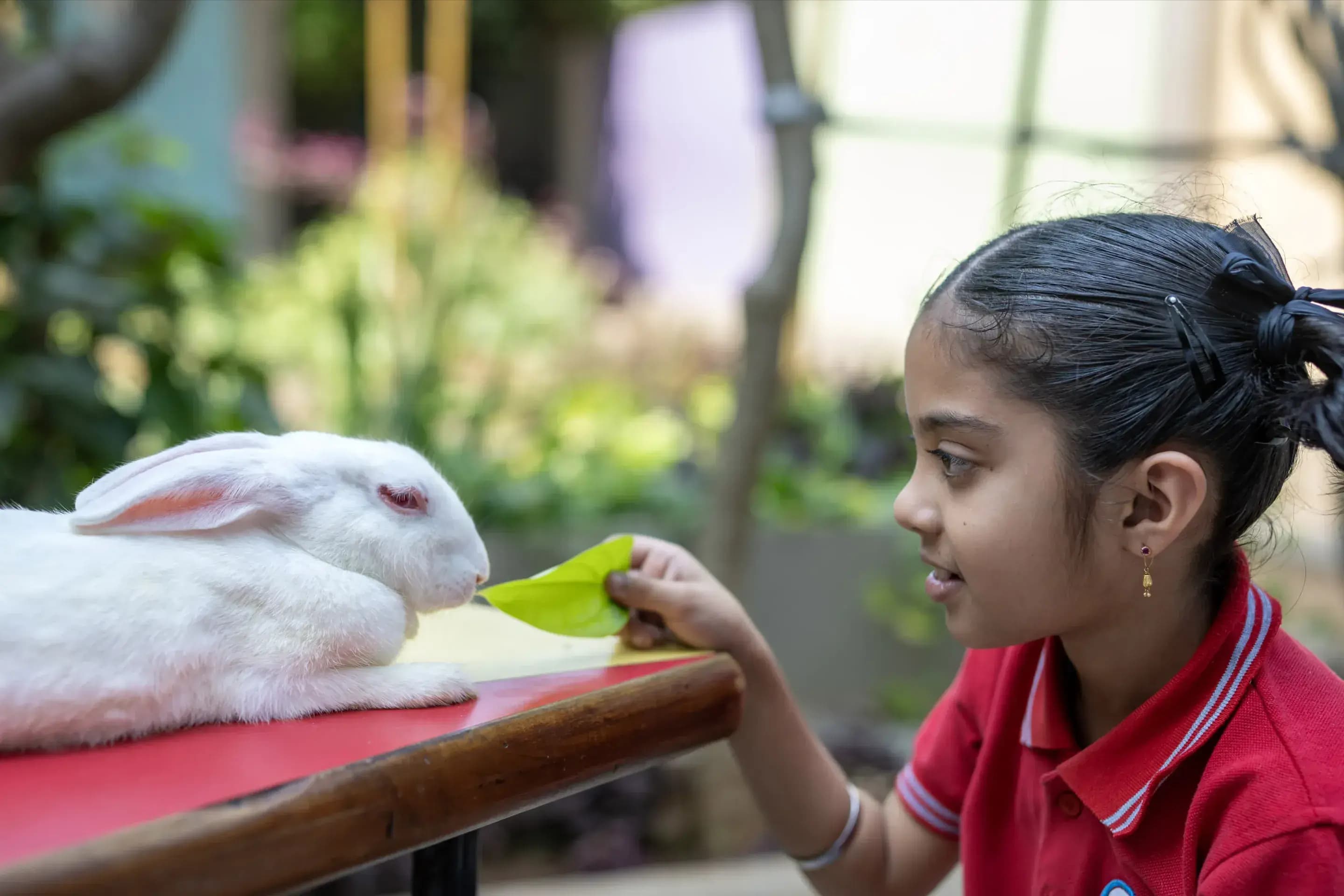 Playgroup & Tiny Tots